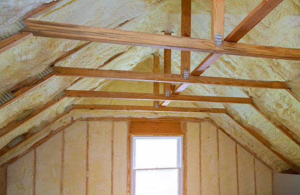 Best Geographic-Specific Insulation Services in Questa, NM