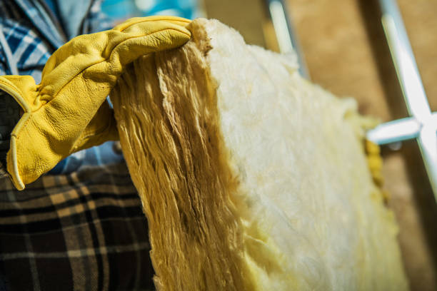 Best Insulation Maintenance and Repair in Questa, NM