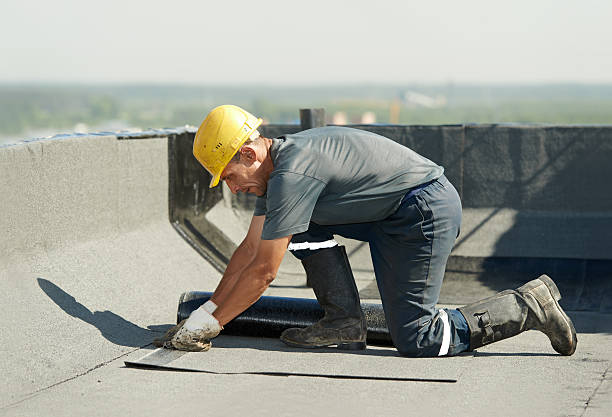 Best Spray Foam Insulation in Questa, NM
