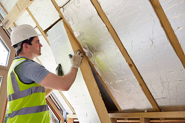 Best Cellulose Insulation in Questa, NM