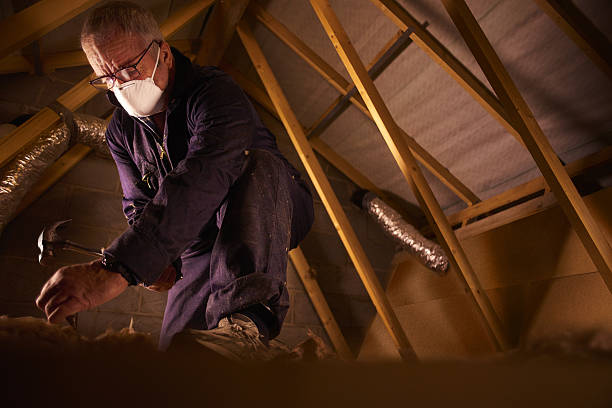 Best DIY Insulation Kits and Guidance in Questa, NM